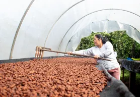 CHOCOA 2022: Lutheran World Relief's commitment to the cocoa sector